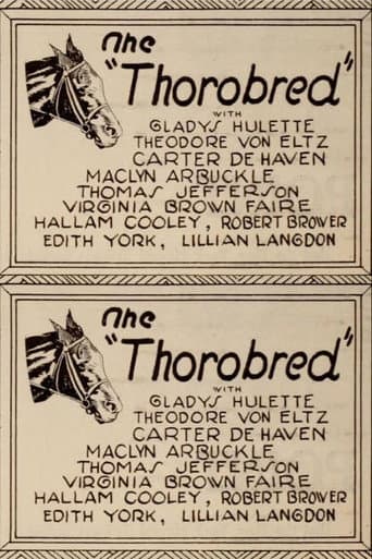The Thoroughbred