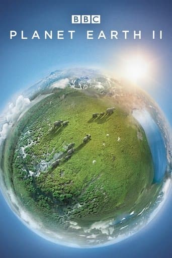 Pianeta Terra II