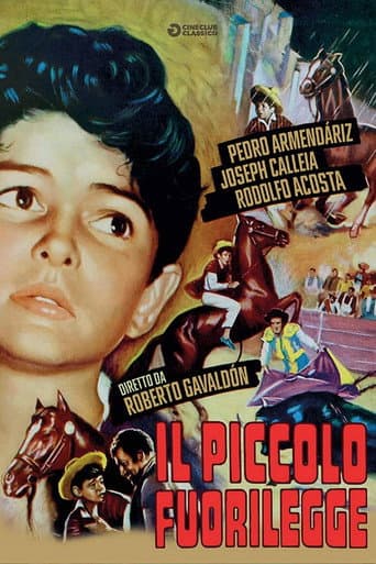 Il piccolo fuorilegge