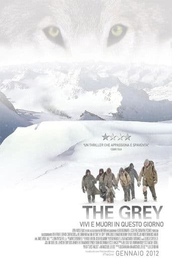 The Grey