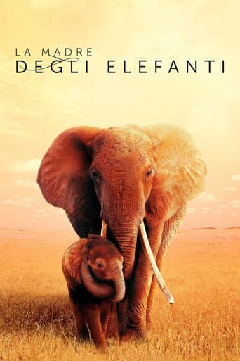 La madre degli elefanti