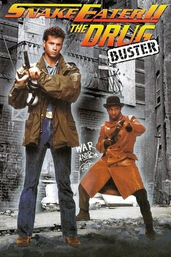 Il guerriero della strada